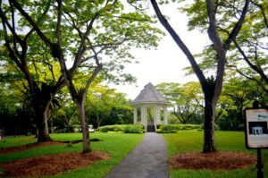 Singapore Botanic Gardens